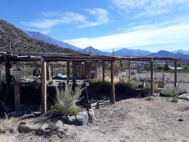 foto del vivero comunitario de Potrerillos